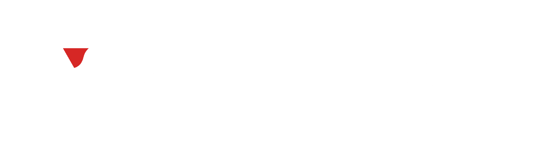 SolidVision